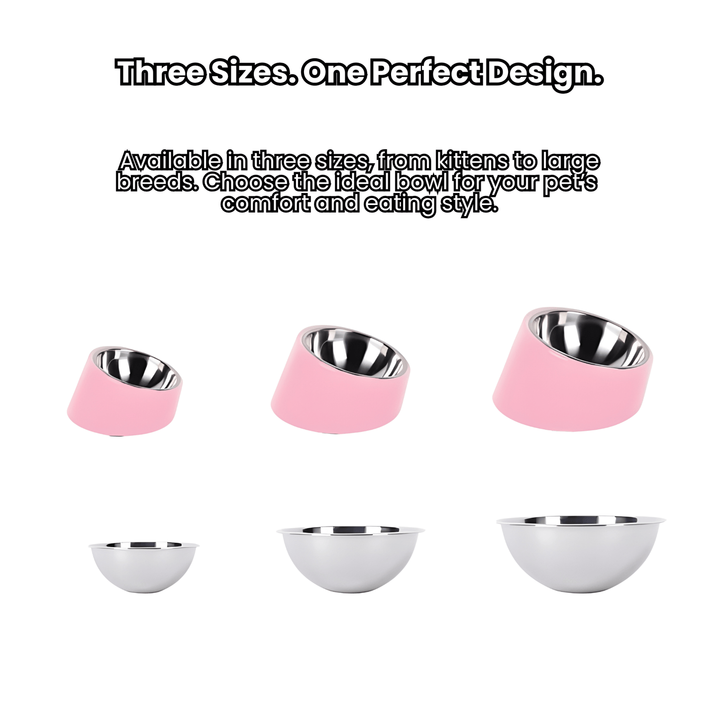 MASAPETS⢠Inclined Stainless Steel Pet Bowl